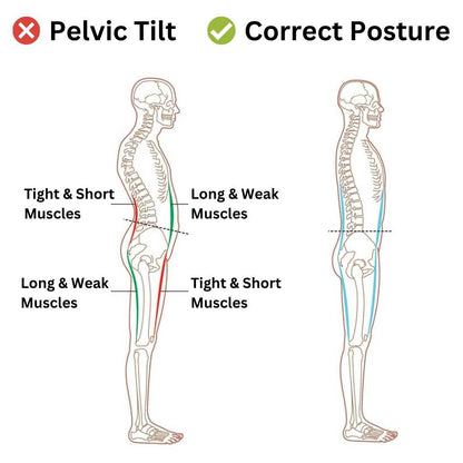 Myzane® Foot & Lower Back Stretcher